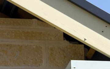 soffit repair Withial