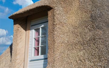 Withial thatch roof disadvantages
